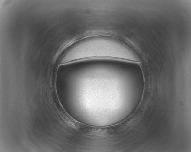 X0000080671261200612150752