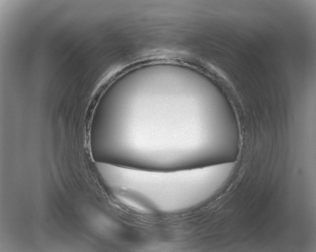 X0000080671267200612150752