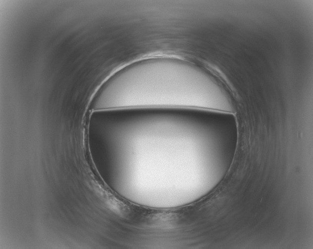 X0000080671268200612150752