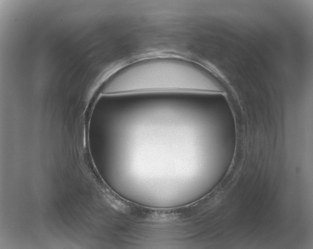 X0000080671269200612150752