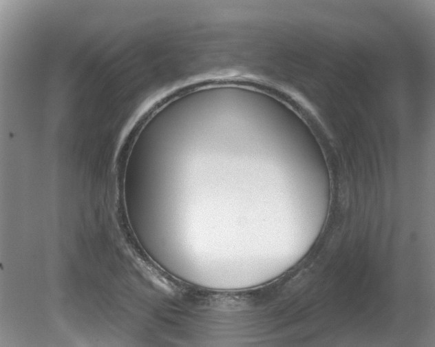 X0000080671270200612150752