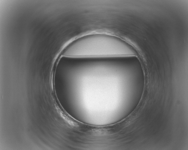 X0000080671272200612150752