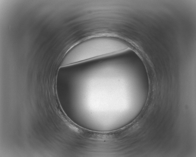 X0000080671273200612150752