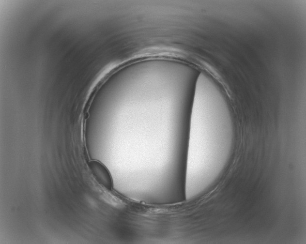 X0000080671275200612150752