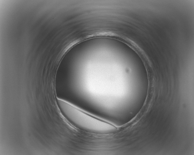X0000080671281200612150752