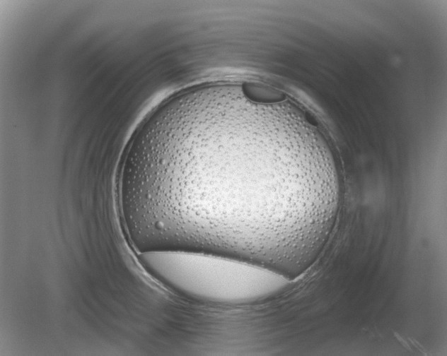 X0000080671283200612150752