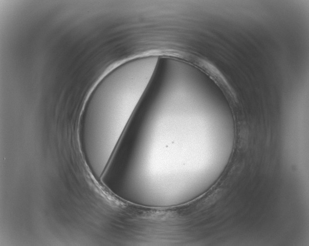 X0000080671284200612150752