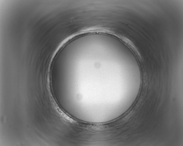 X0000080671288200612150752