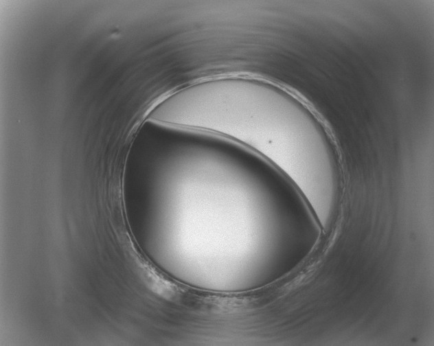 X0000080671289200612150752