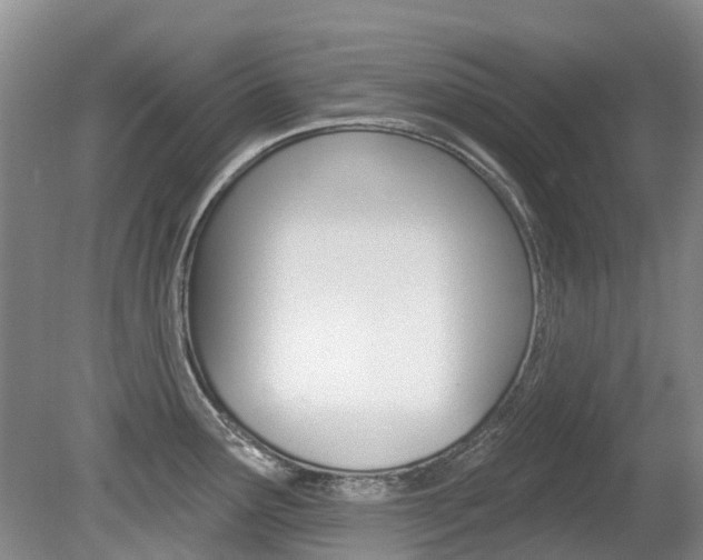 X0000080671291200612150752