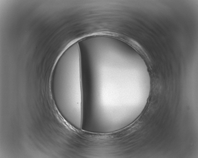 X0000080671292200612150751