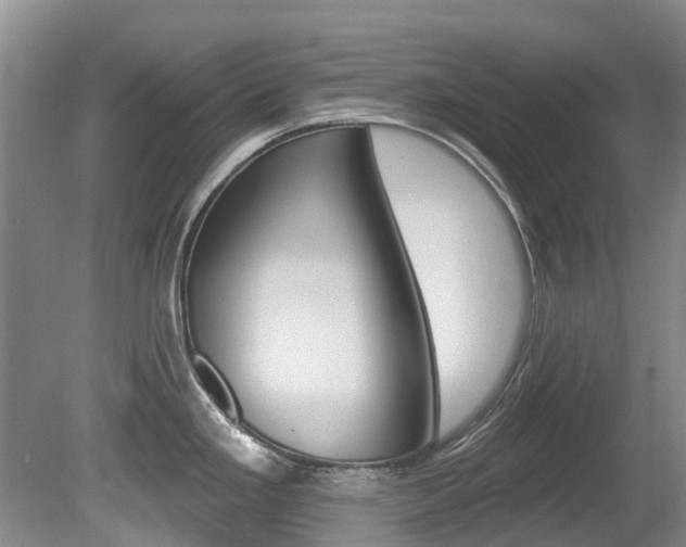 X0000080671293200612150751