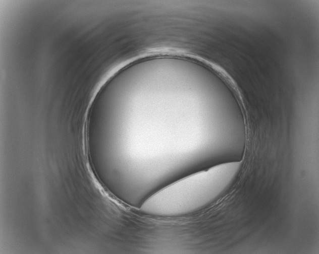 X0000080671295200612150751