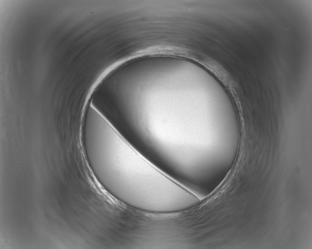 X0000080671296200612150751
