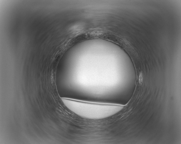X0000080671299200612150751