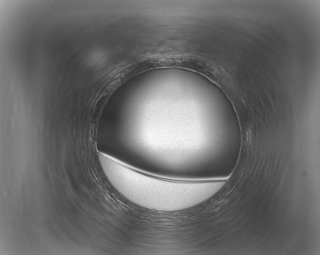X0000080671300200612150751