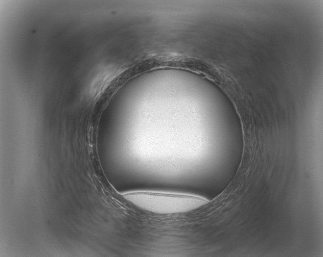 X0000080671301200612150751