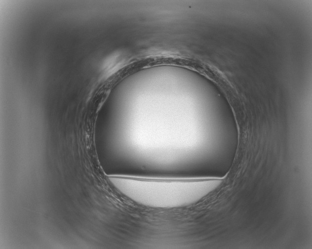 X0000080671303200612150751