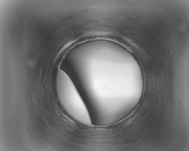 X0000080671306200612150751