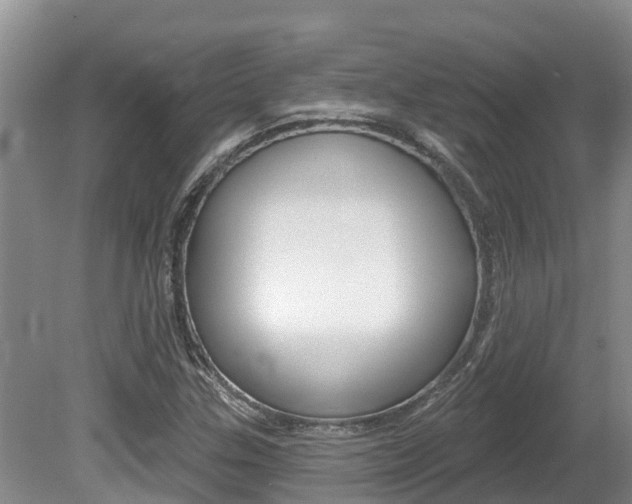 X0000080671307200612150751