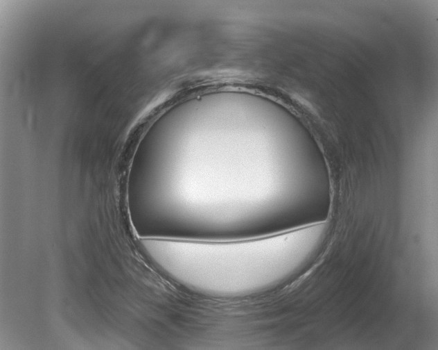 X0000080671309200612150751