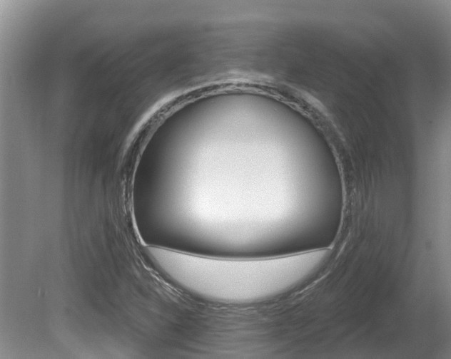 X0000080671310200612150751