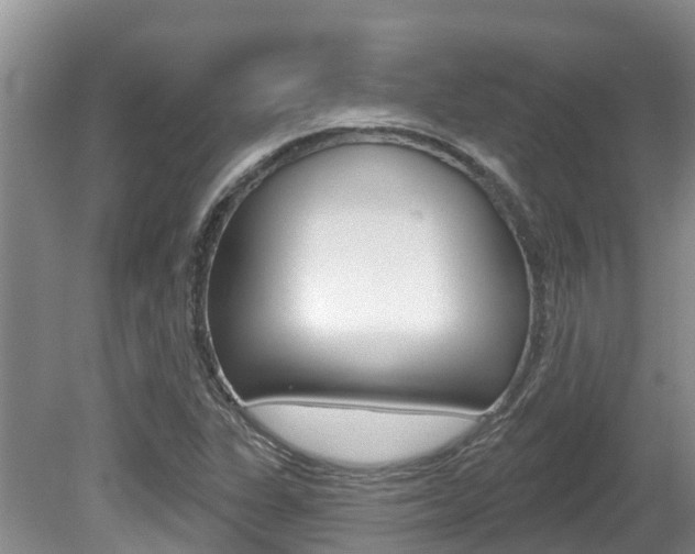 X0000080671311200612150751