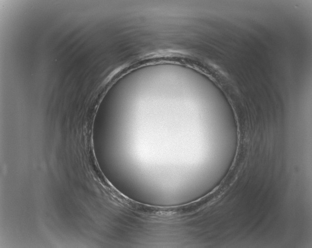 X0000080671313200612150751