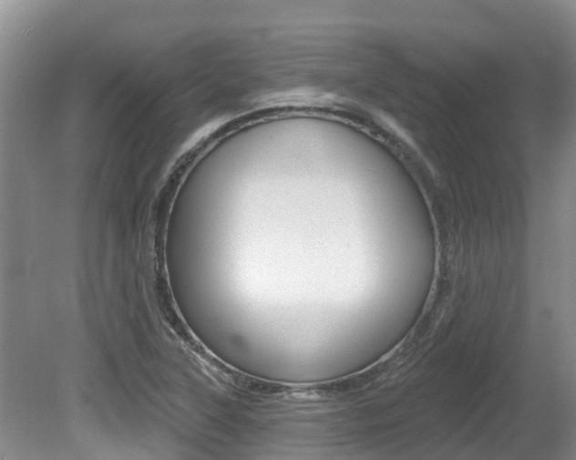 X0000080671315200612150751