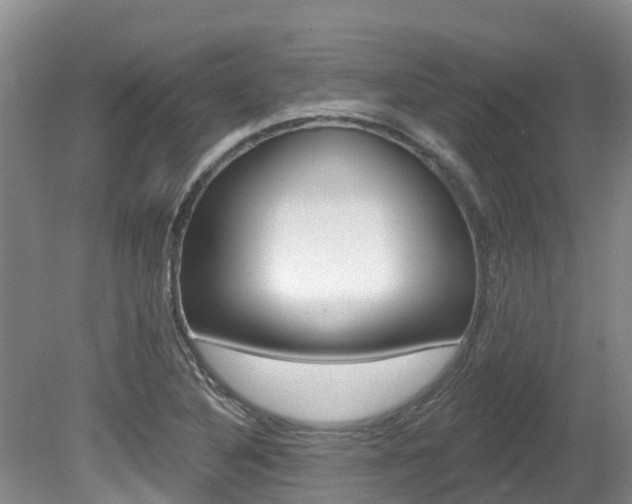 X0000080671316200612150751