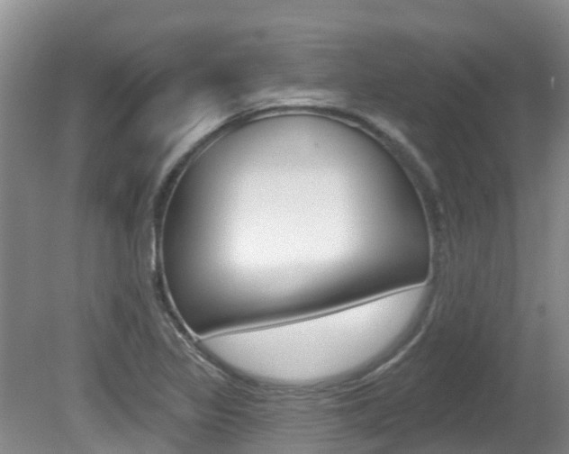 X0000080671317200612150751
