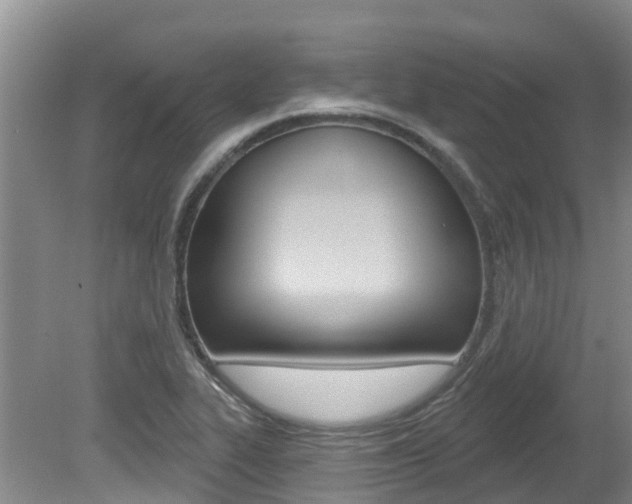 X0000080671319200612150751