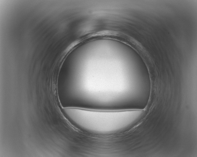 X0000080671321200612150751