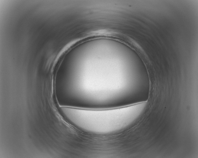 X0000080671323200612150751