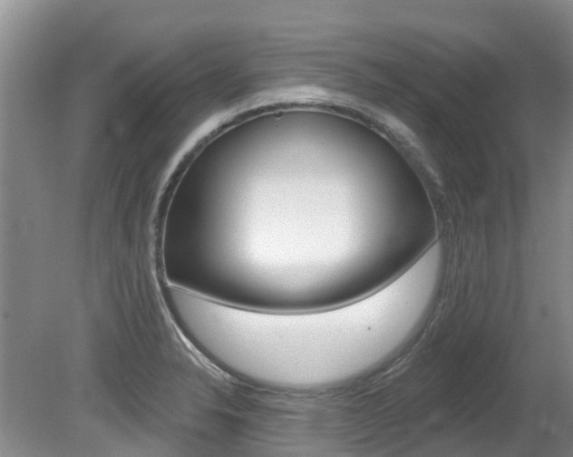 X0000080671326200612150751