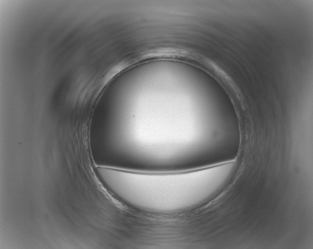 X0000080671329200612150751