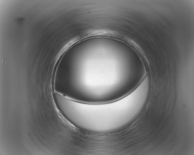 X0000080671330200612150751
