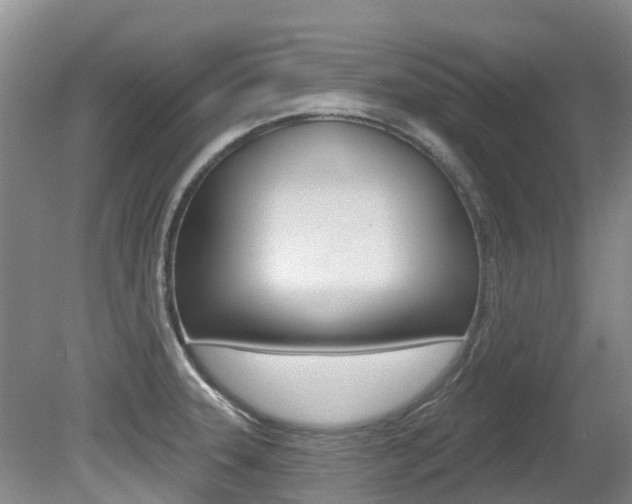 X0000080671331200612150751