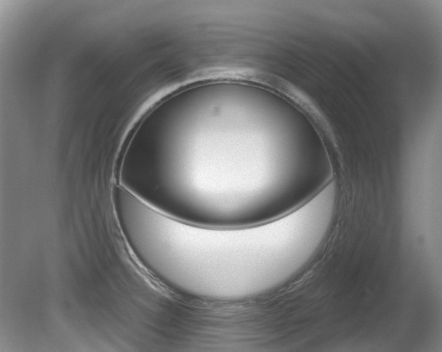 X0000080671332200612150751