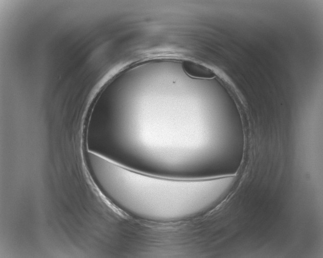 X0000080671333200612150751