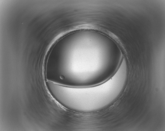 X0000080671334200612150751