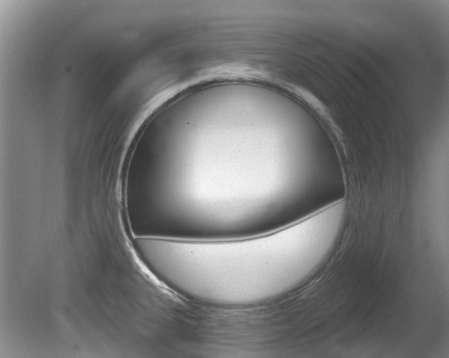 X0000080671335200612150751