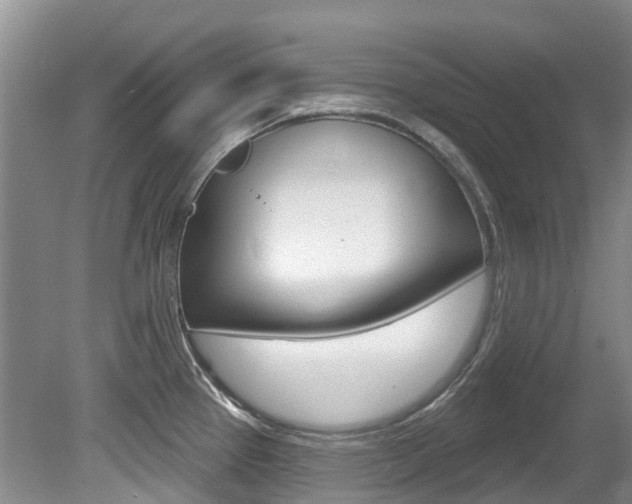 X0000080671337200612150751