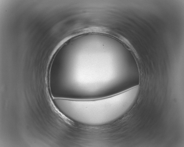 X0000080671339200612150751