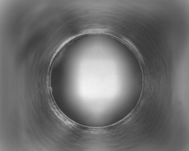 X0000080671340200612150751