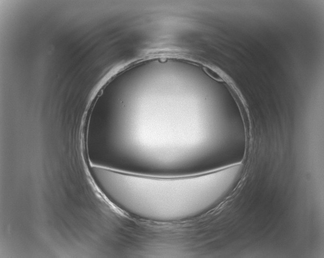 X0000080671341200612150751