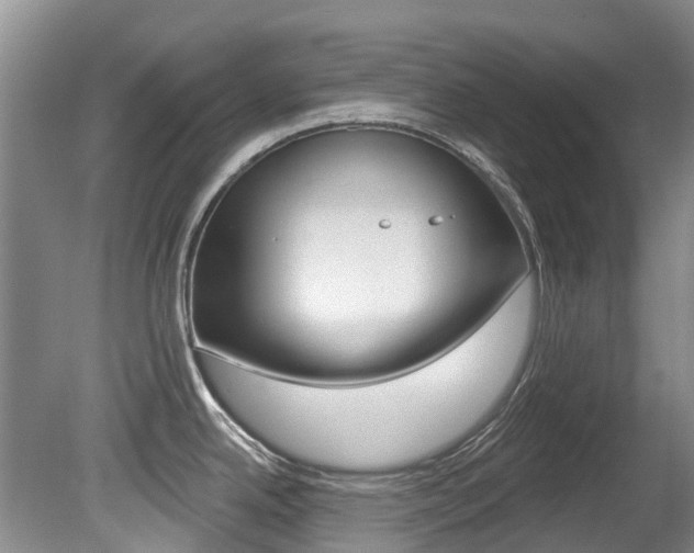 X0000080671342200612150751