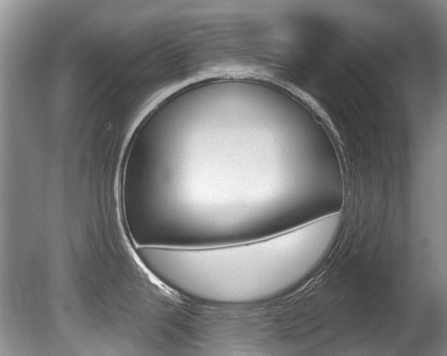 X0000080671343200612150751