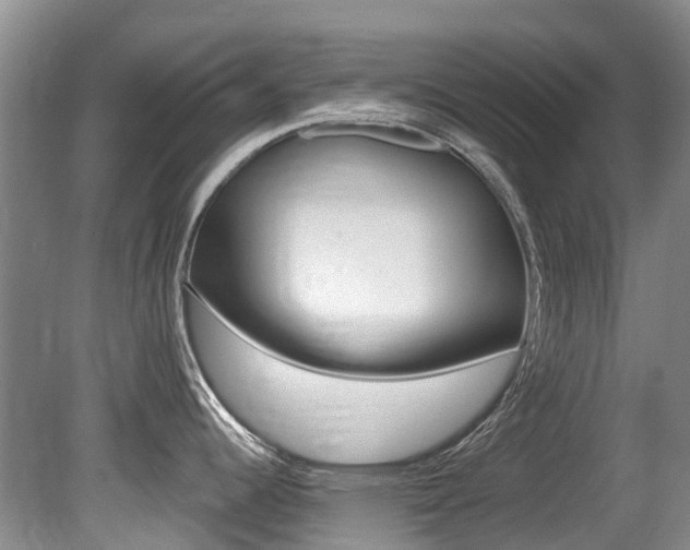 X0000080671344200612150751