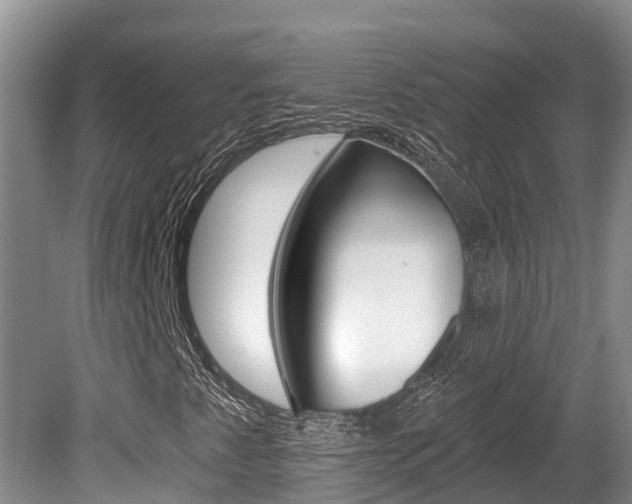 X0000080671345200612150751